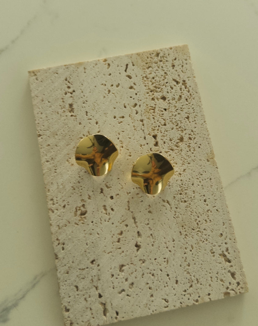 karol earrings