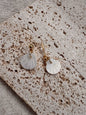 scallop earrings